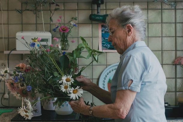 still / picture for Zerua blu