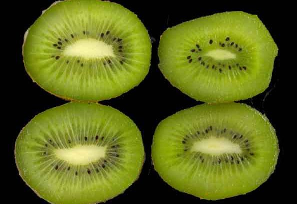 still / picture for Kiwi