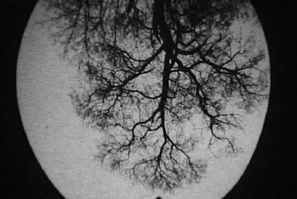 still / picture for Mirrors
