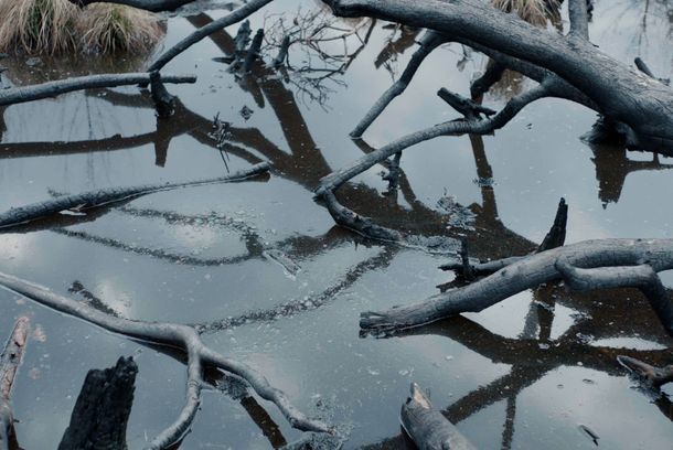 still / picture for Geäst (AT)