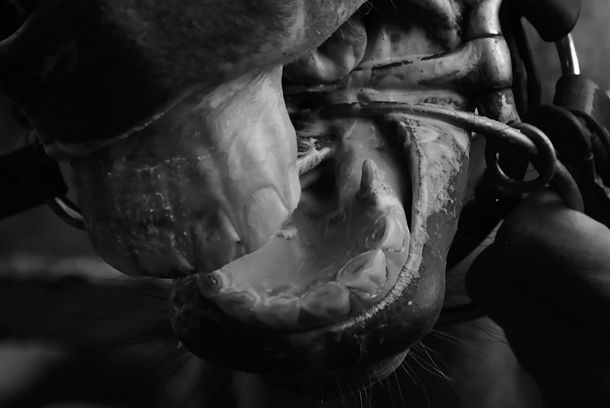 still / picture for KE-KHOUM