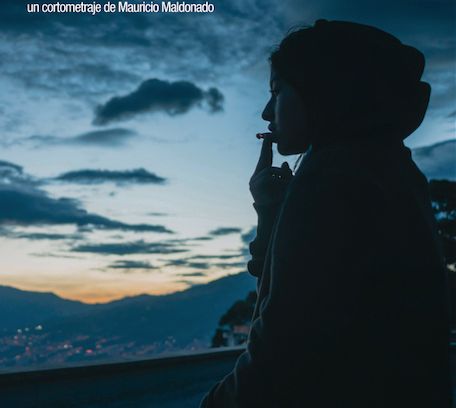 still / picture for La noche resplandece