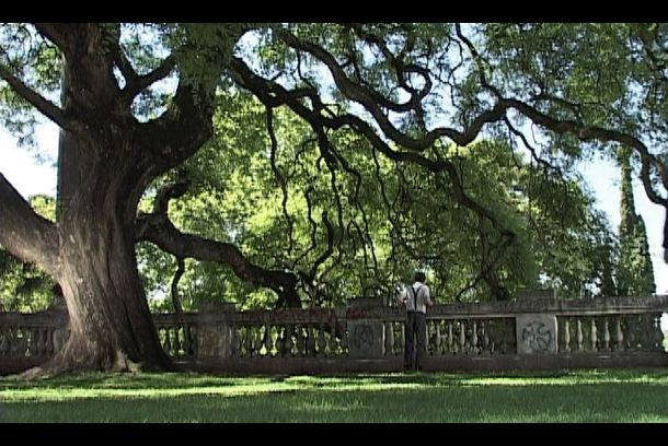 still / picture for The Park of Sudden Death
