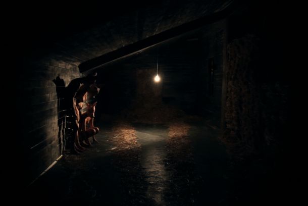 still / picture for PIGS