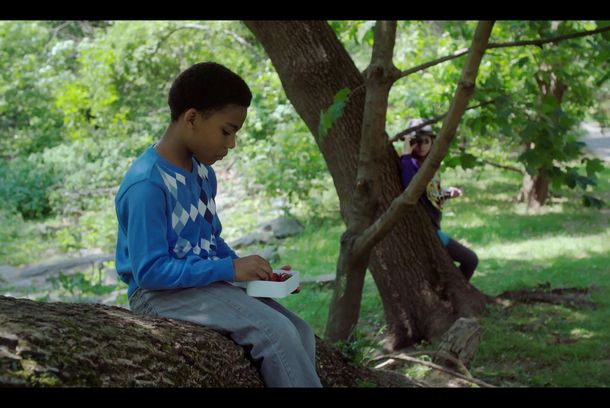 still / picture for Strawberries