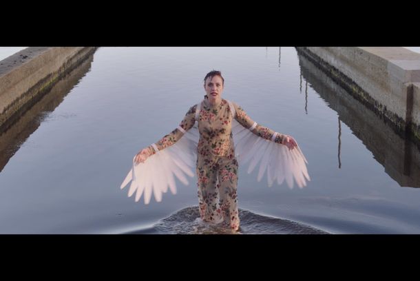 still / picture for Die Seemeeu