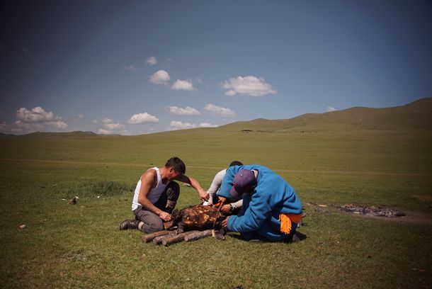 still / picture for Barbecue