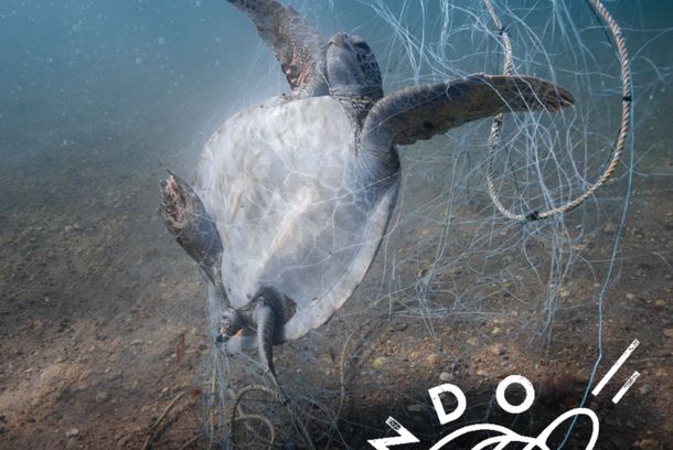 still / picture for Mundo Tortuga
