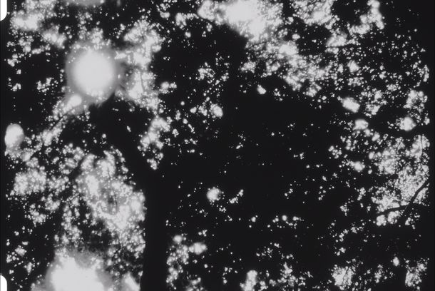 still / picture for Carta desde Prospect Park