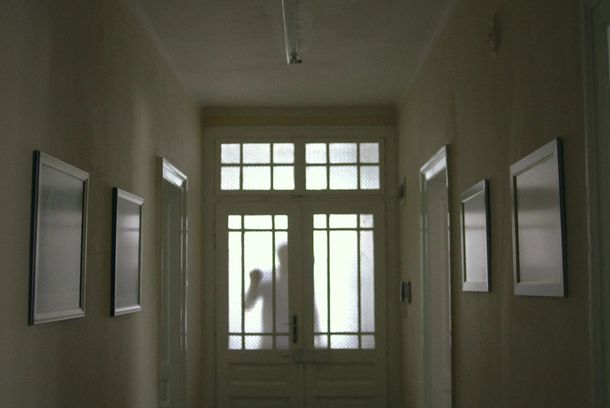 still / picture for DOG