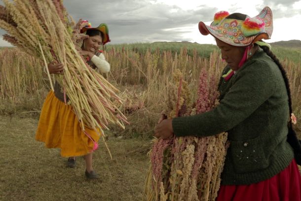 still / picture for Sembradoras de vida