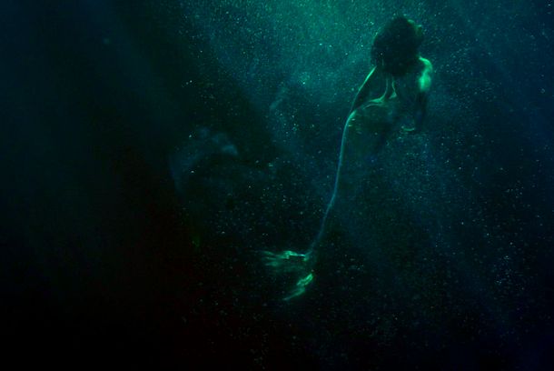 still / picture for THE RIVER MISTRESS