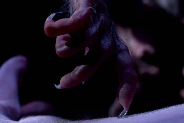 still / picture for The Pigsty