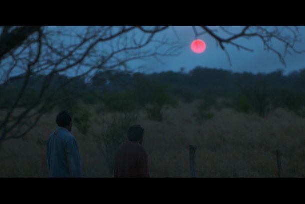 still / picture for Boreal