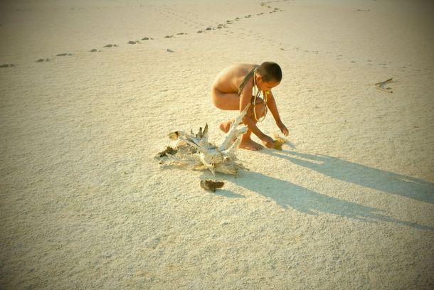 still / picture for EAMI