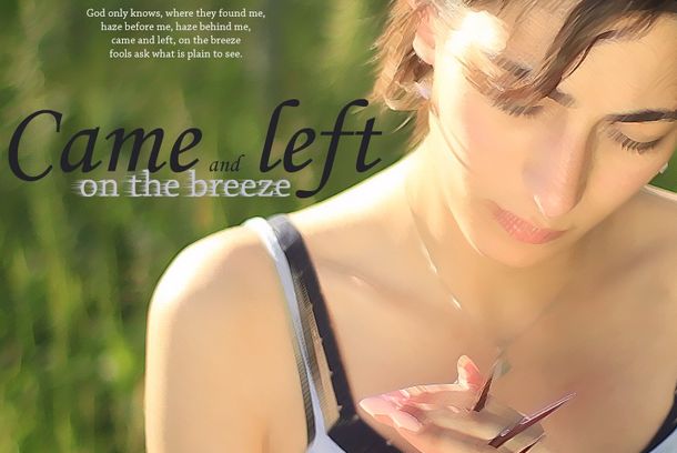 still / picture for Came and left on the breeze