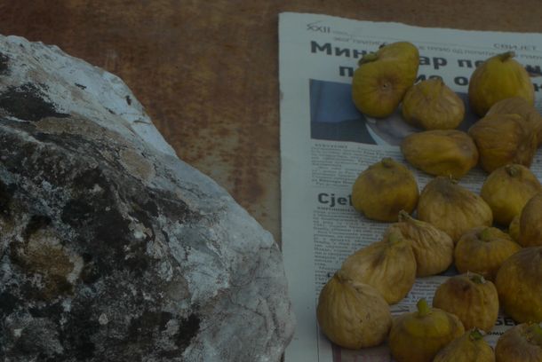 still / picture for The Vintner