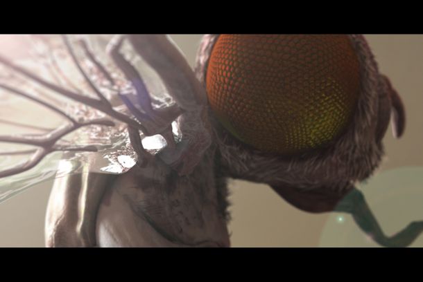 still / picture for Flytopia