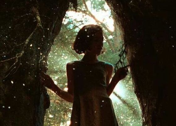 still / picture for Little Lying Wild
