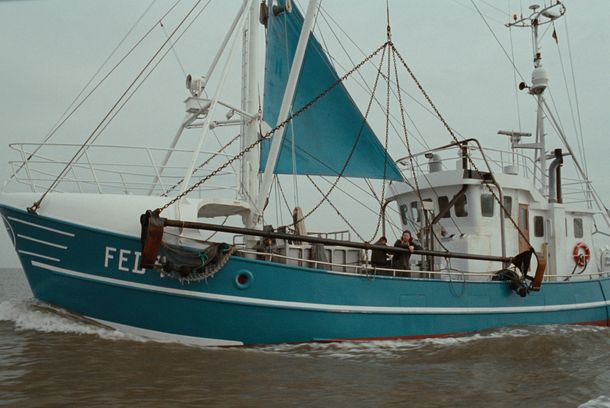 still / picture for I have a boat