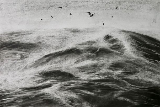 still / picture for Nest for the Wind