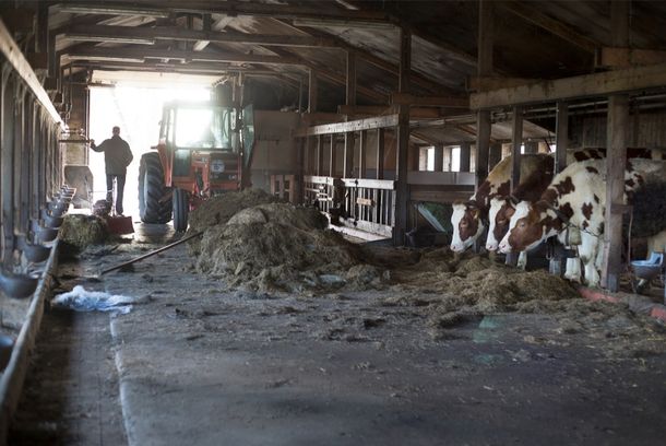 still / picture for The end of the herd