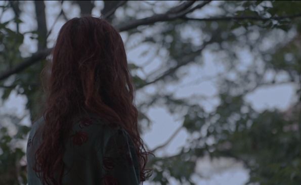still / picture for Captivi