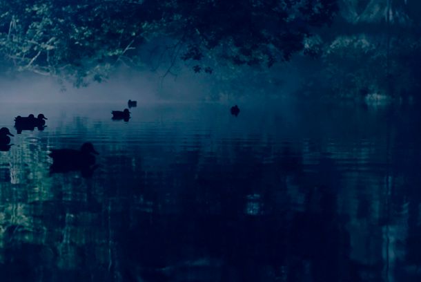 still / picture for STILL LIFE