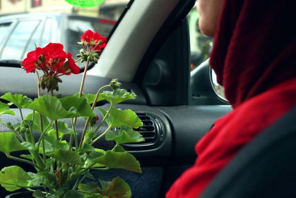 still / picture for Eshgh dar Namaye Nazdik