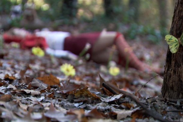 still / picture for En el bosque (In the woods)
