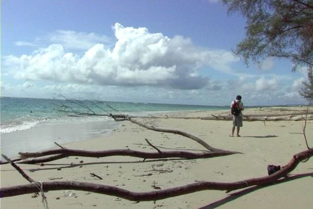 still / picture for ANDAMAN