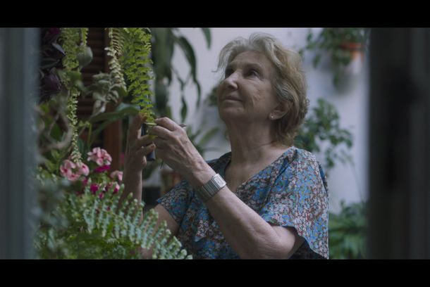 still / picture for El secreto de Maró