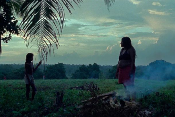 still / picture for A Flor do Buriti