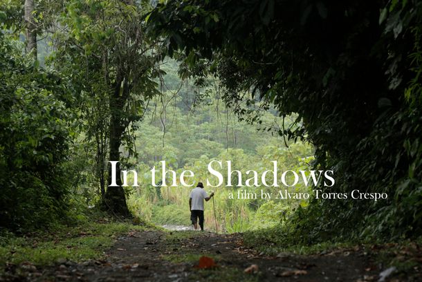 still / picture for In the Shadows