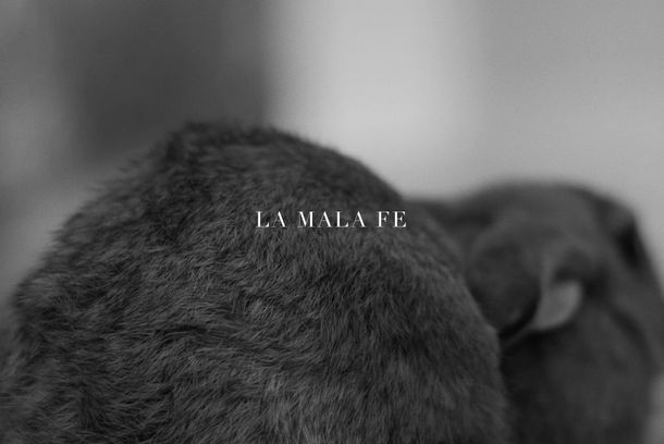 still / picture for La mala fe