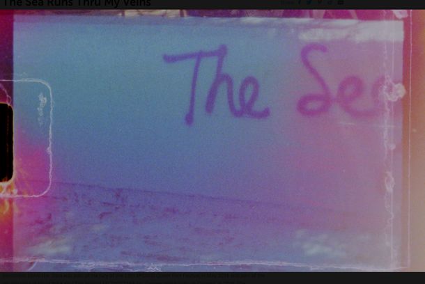 still / picture for The Sea Runs Thru My Veins