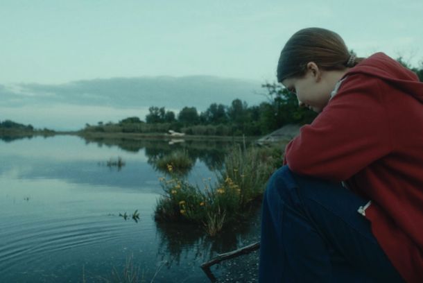 still / picture for Vermi