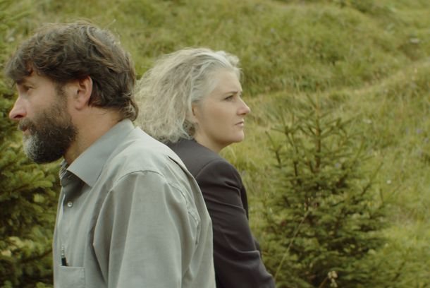 still / picture for Halbgrün