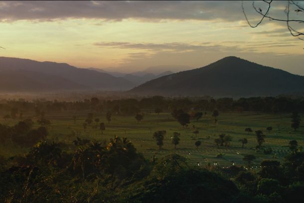 still / picture for Brave