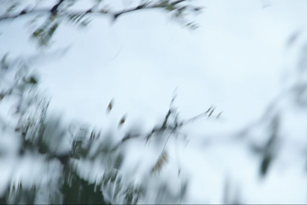 still / picture for Imagenotfound