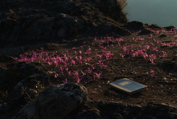 still / picture for MHM