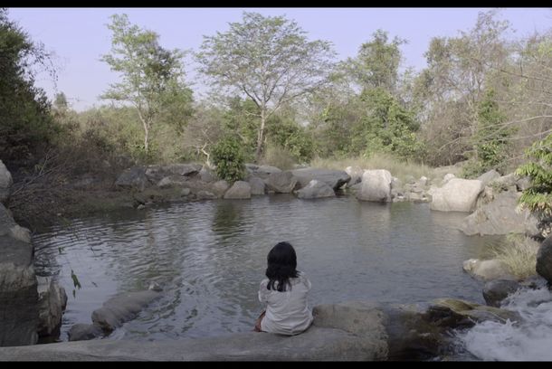 still / picture for TERRA