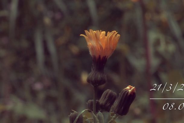 still / picture for 21/3, 08.00