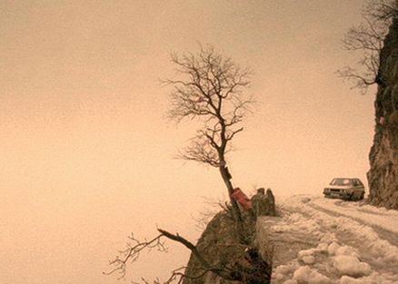 still / picture for Amor Fati