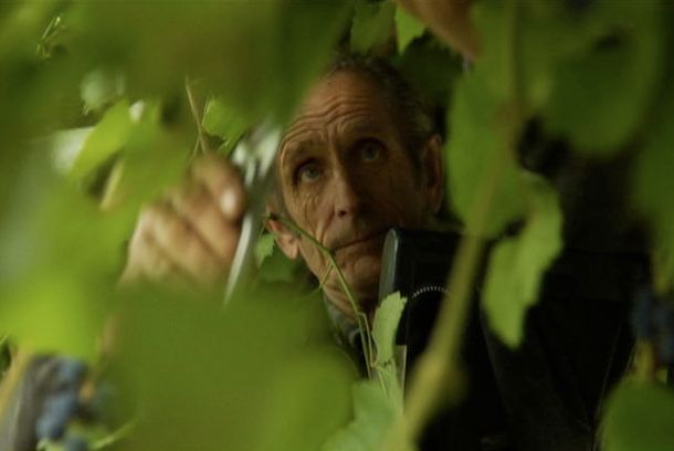 still / picture for Forbidden Fruit