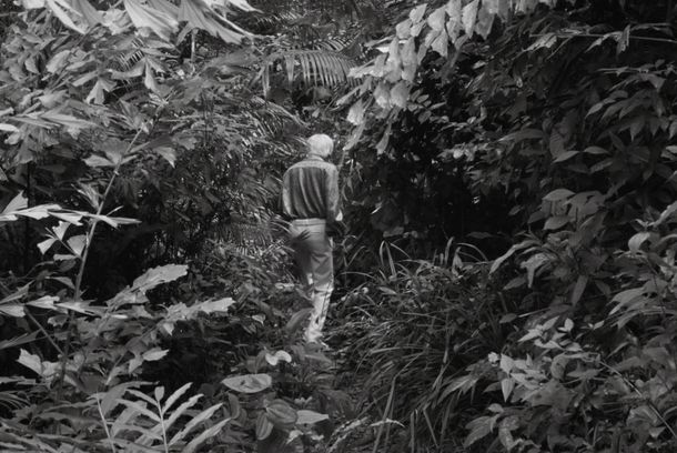 still / picture for Cu Li Không Bao Giờ Khóc
