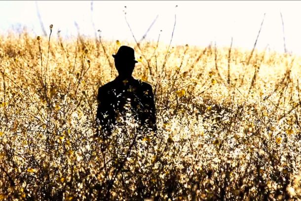 still / picture for Summer Splendor
