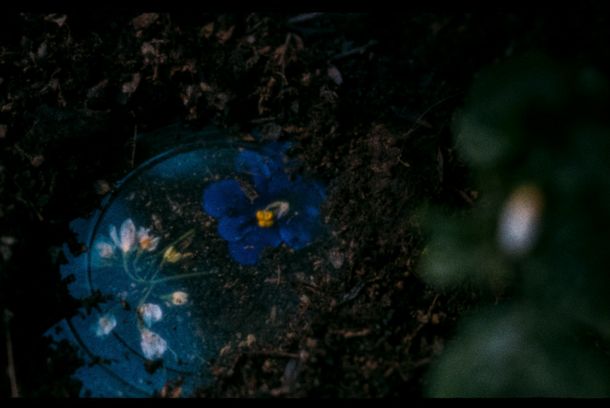 still / picture for Короткое лето