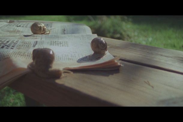 still / picture for Talousennustajat