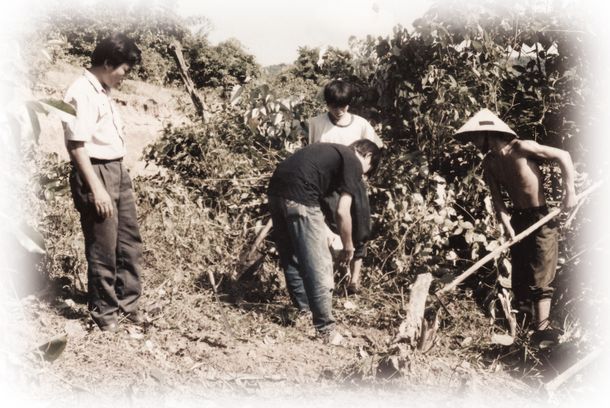 still / picture for Bloodline 